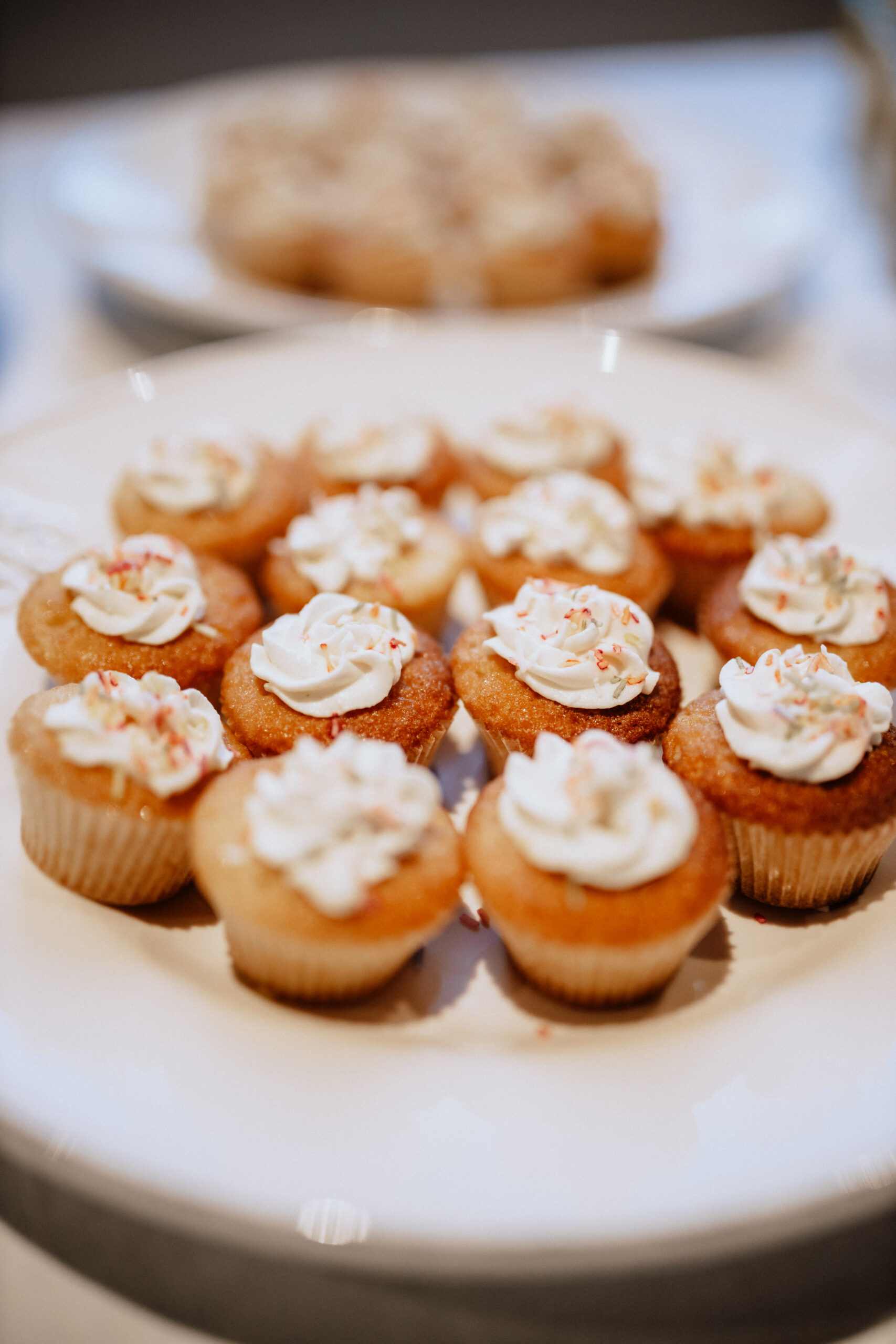 Catering-5 Catering-5